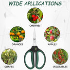 Yieldcropper Hydroponic 2-Pack Bonsai Scissors and Plant Trimming Shears Set - Stainless Steel Pruning Shears for Indoor Gardening, Succulent Harvest, and Precision Plant Care