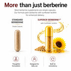 Superior Formulas Berberine+ 1,000mg | Physician Formulated with Sunflower Lecithin for Absorption Support | NSF GMP Certified | Made in the USA | No Fillers | 60 Capsules