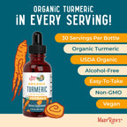 MaryRuth Organics Organic Turmeric Liquid Extract | Sugar Free | USDA Organic | Organic Turmeric Supplement | Non-GMO | Gluten Free | Vegan | Alcohol-Free Tincture | 1 Fl Oz