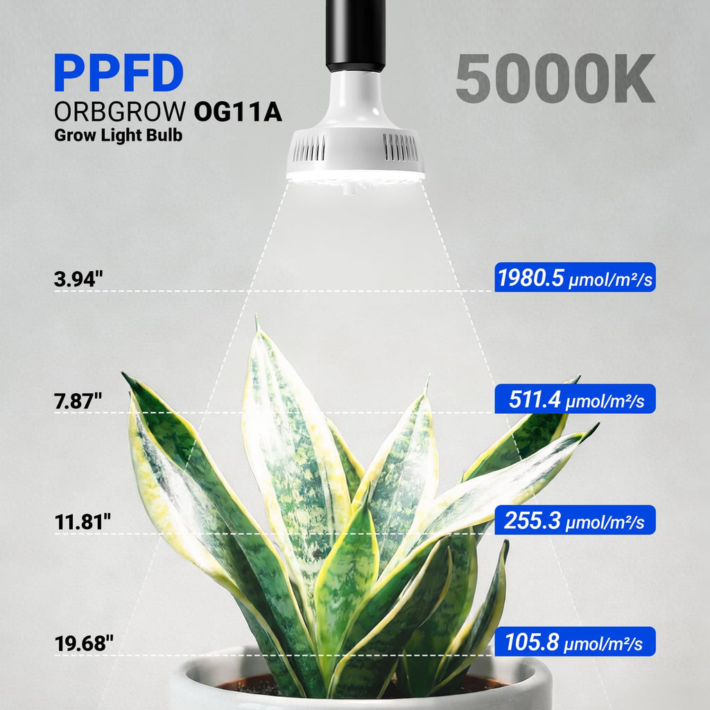 Barrina OG11A Grow Light Bulbs for Indoor Plant, 5000K 11W, 4 Packs, White