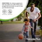 NaturesPlus Source of Life GOLD Multivitamin Liquid - 8 fl oz, Pack of 2 - With Vitamins D3, B12 & K2 - Vegetarian & Gluten Free - 16 Total Servings