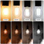 Energetic Dimmable A19 LED Edison Light Bulb, 12W Equivalent 100W, 1600LM High Brightness, 3000K Warm White, Clear Antique LED Filament Bulb for Home, Bathroom, E26 Standard Base, 6-Pack