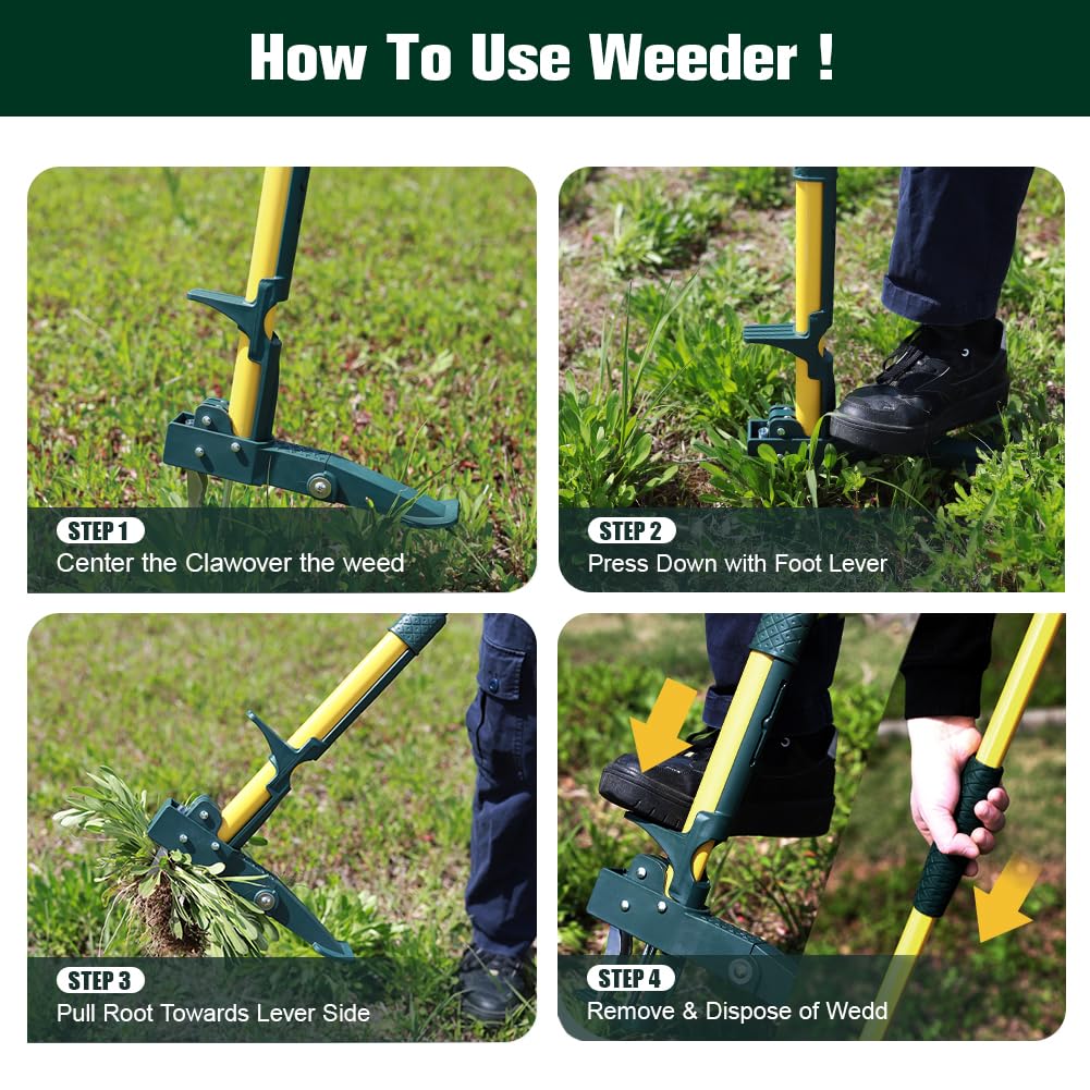 Weed Puller Tool, 50IN Long Handle 4 Claws Stand Up Weeding Tool, Extra Thickened Stainless Steel Shaft Garden Weeder,Remove the Roots of Thistles, Crabgrass, Dandelions, and Blackberries, etc.