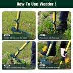 Weed Puller Tool, 50IN Long Handle 4 Claws Stand Up Weeding Tool, Extra Thickened Stainless Steel Shaft Garden Weeder,Remove the Roots of Thistles, Crabgrass, Dandelions, and Blackberries, etc.