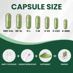 CAPSLogist Capsule Scoops 2 Pack, Tools for Filling Capsules, Empty Pill Capsule Filler for Supplements Powdered, Suitable for Size 000