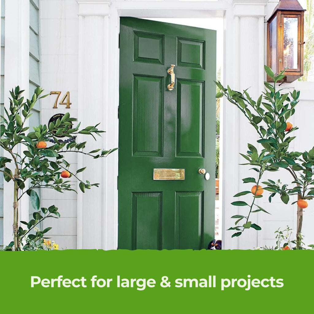THE ONE All-In-One Paint & Primer - Green Satin, 8.5 Fl Oz/250ml | 1 Coat Formula | Easy Indoor & Outdoor Decorating for Home & Garden Walls, Floors & Furniture | Water-Based & Low VOC