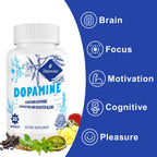 Zdoroviye Dopamine Supplements for Men and Women - Contains 500mg Mucuna Pruriens Extract (40% L-DOPA) - 60 Capsules (1 Pack)