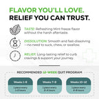Quitine Mini Nicotine Lozenges 4mg, Mint Flavor, Stop Smoking Aid – Relieve Nicotine Cravings with Effective, Affordable NRT | Long-Lasting Flavor, 216 Count, Smoking Cessation that Works