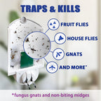 Flying Insect Trap (1 Starter & 3 Refill Cartridges), Plug-in Fly Trap for Home, Kitchen, Living Room – UV Light Indoor Bug Catcher for Gnats, Fruit Flies, Mosquitoes, and Moths