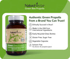 NaturaNectar - Green Bee Propolis Capsules - NSF Contents Certified Brazilian Green Propolis - Gluten-Free Propolis Supplements with Flavonoids - Naturally Sourced Through Ethical Beekeeping (60pcs.)