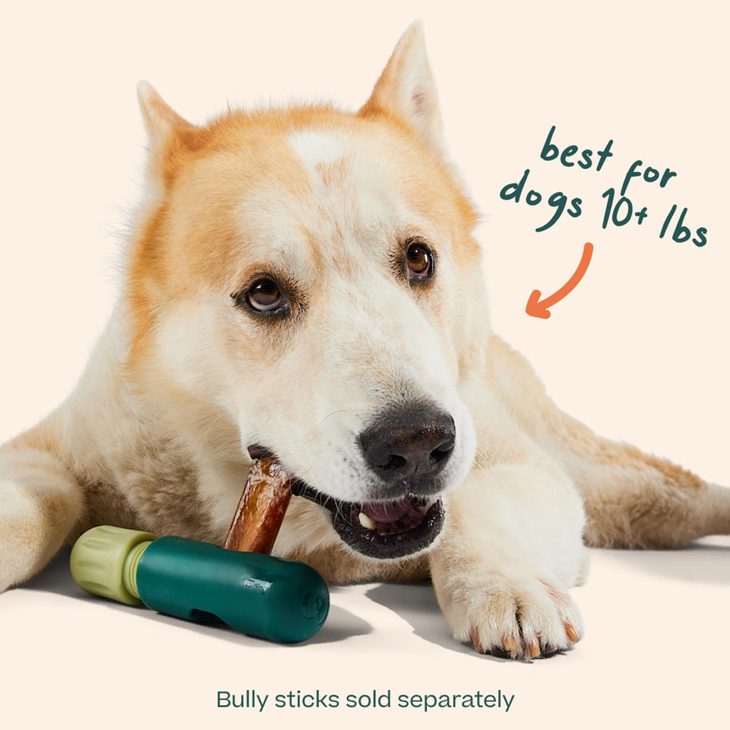 WOOF BullySafe Bully Stick Holder for Dogs