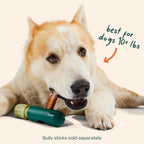 WOOF BullySafe Bully Stick Holder for Dogs