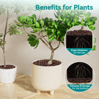 Rahato 10 lbs LECA Clay Pebbles for Plants, 4-16mm Lightweight Clay Balls