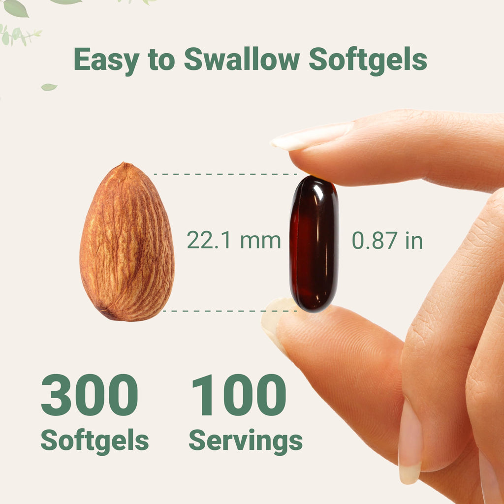 Micro Ingredients Pumpkin Seed Oil with Saw Palmetto, 300 Softgels | Cold Pressed, Pure Virgin Oil, Essential Fatty Acids, & Phytosterols | Non-GMO