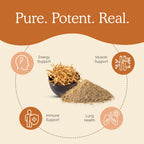 Real Mushrooms Capsules Supplements - Organic Cordyceps Mushroom Powder in Capsules - Energy and Performance Mushrooms with Verified Beta Glucans - Vegan, Non-GMO, 300 Capsules