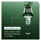 Biolage Hydra Source Shampoo – For Dry Hair, 13.5 fl oz