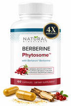 Berberine Phytosome Complex with Berbevis, 550mg Enhanced Absorption Berberine Supplement for Metabolic Support & Heart Health, Highly Bioavailable, Gluten-Free, Non-GMO, 60 Capsules