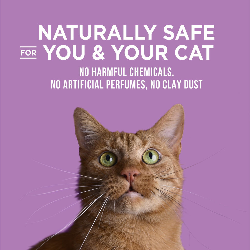 World's Best Cat Litter Lavender, Long-Lasting Odor Control, 32 lb Bag
