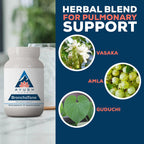 Ayush Herbs Bronchotone, Bronchial Support, Adults, 90 Servings