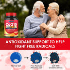 Quinovit CoQ10 300mg with PQQ & Shilajit - Powerful Antioxidant for Heart & Brain Health and Energy Production - High Absorption with Bioperine Coenzyme Q10 Supplements - 120 Capsules