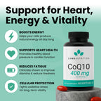 Luma Nutrition CoQ10 400mg Softgels - High-Absorption Coenzyme Q10 - Co Q-10 200mg / 400mg Per Serving - Heart Health - 60 Liquid Softgels