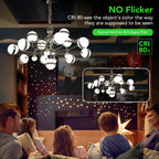 BUBO 20 Pack G4 LED Bulb 2W Equivalent 30W 6000K Daylight 250 Lumens 360°Beam Angle, T3 Halogen Bulb Replacement Landscape Bulbs, AC/DC 12V Led Lights G4 Bi-Pin Base for Outdoor Landscape Lighting