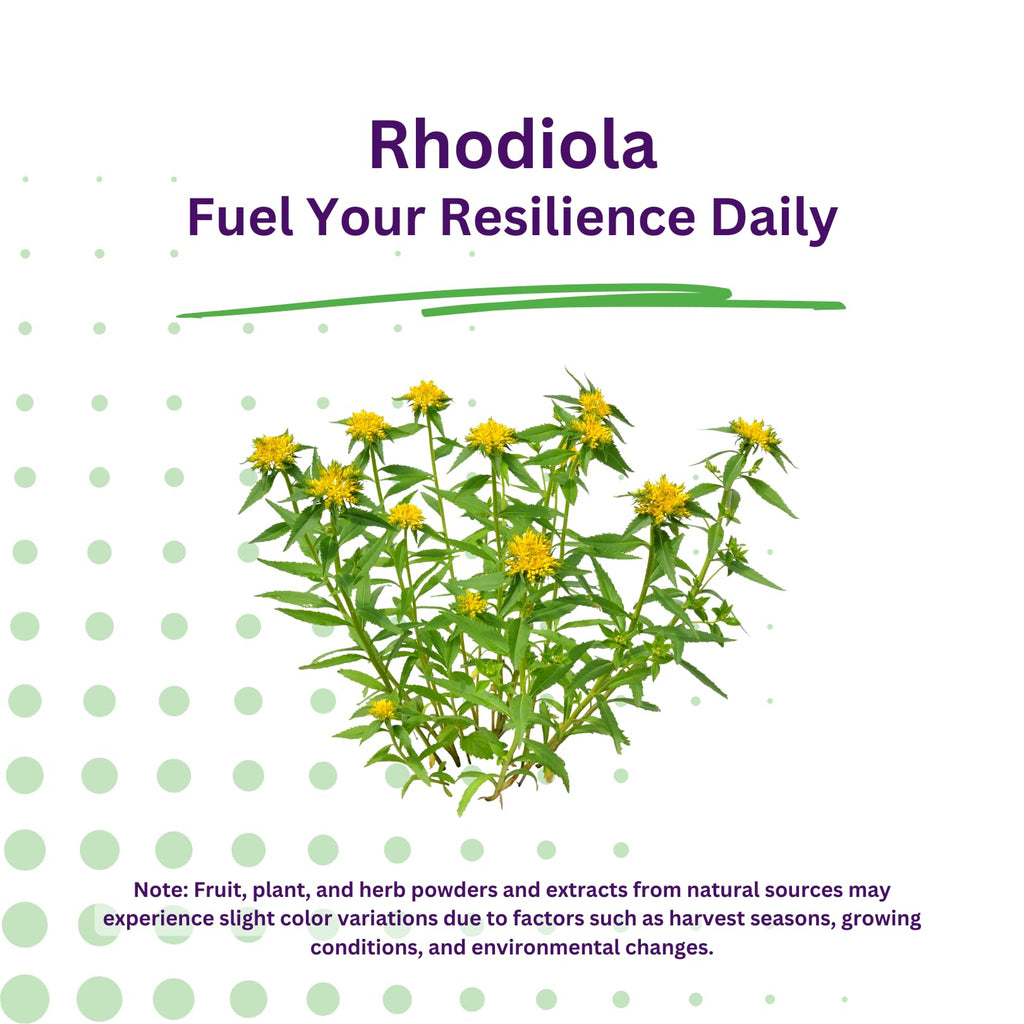 Paradise Herbs Rhodiola Extract 500mg, Super Potent Antioxidant, Ultra Pure, Vegan, Non-GMO, Gluten Free, 60 Vegetarian Capsules