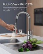 FORIOUS Kitchen Faucets with Pull Down Sprayer, Chrome, High Arc Single Handle Classic Stainless Steel Sink Faucet Pull Out for Farmhouse Camper Laundry Rv Bar