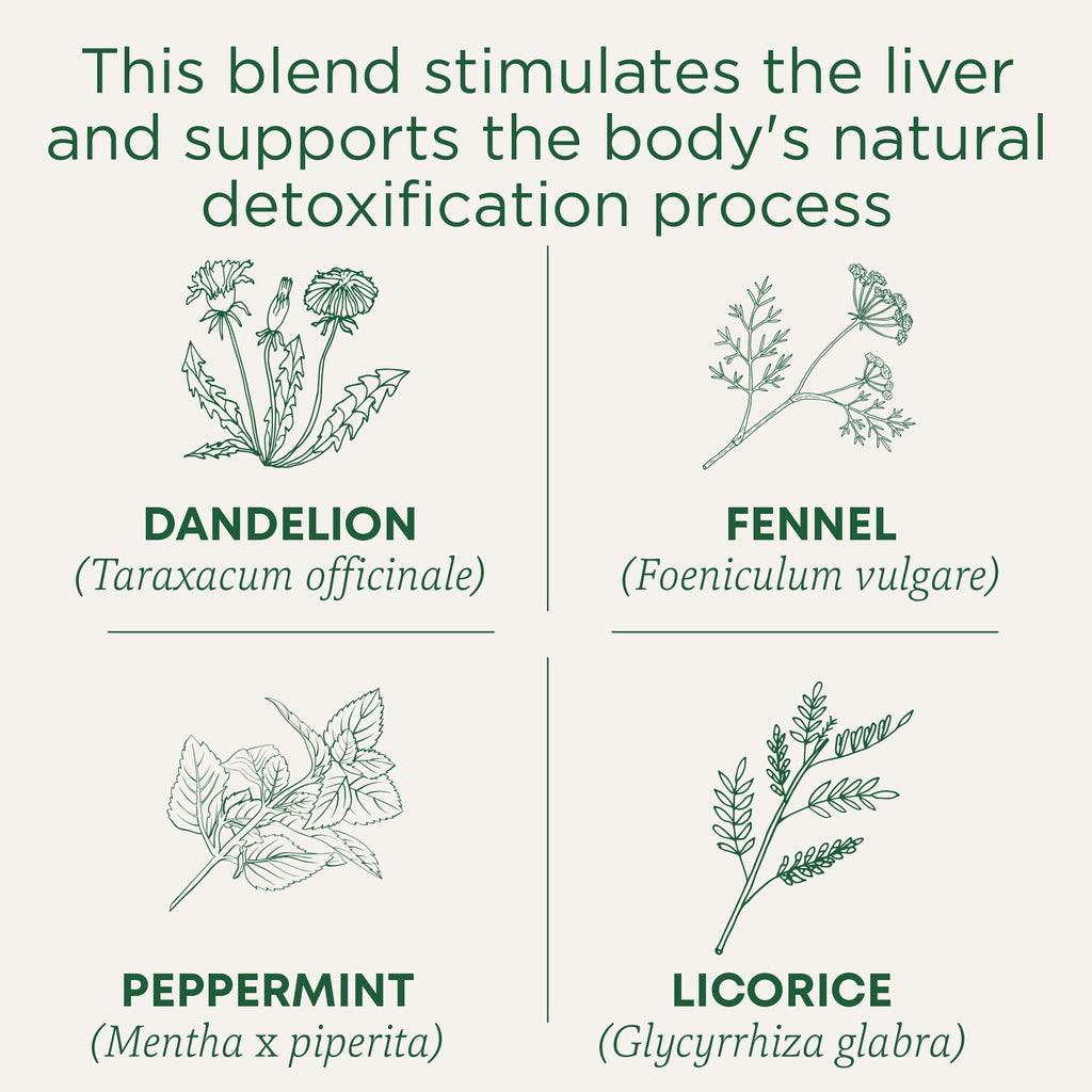 Traditional Medicinals Tea, Organic EveryDay Detox Dandelion - Supports Healthy Liver & Kidney Function, Detox - Kosher, Non-GMO, Caffeine-Free - 96 Tea Bags (6 Pack)