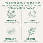 Traditional Medicinals Tea, Organic EveryDay Detox Dandelion - Supports Healthy Liver & Kidney Function, Detox - Kosher, Non-GMO, Caffeine-Free - 96 Tea Bags (6 Pack)