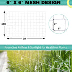 DOLEMODUO 7X 60 Ft Nylon Trellis Netting, 6×6 Heavy Duty Trellis Mesh Garden Netting for Climbing Plants, Use for Tomatoes, Cucumbers, Peas, Grape Racks