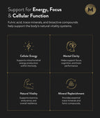 Manna Vitality Shilajit Resin Sachets | 500mg Himalayan Shilajit | 88% Fulvic Acid | Energy, Stamina, Mental Clarity, Hormonal Health & Vitality | 30 Count