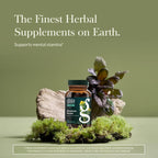 Gaia Herbs Rhodiola Rosea - Stress Support Supplement Traditionally for Supporting Healthy Stamina & Endurance - with Siberian Rhodiola Root Extract* - 120 Vegan Liquid Phyto-Caps (120 Servings)