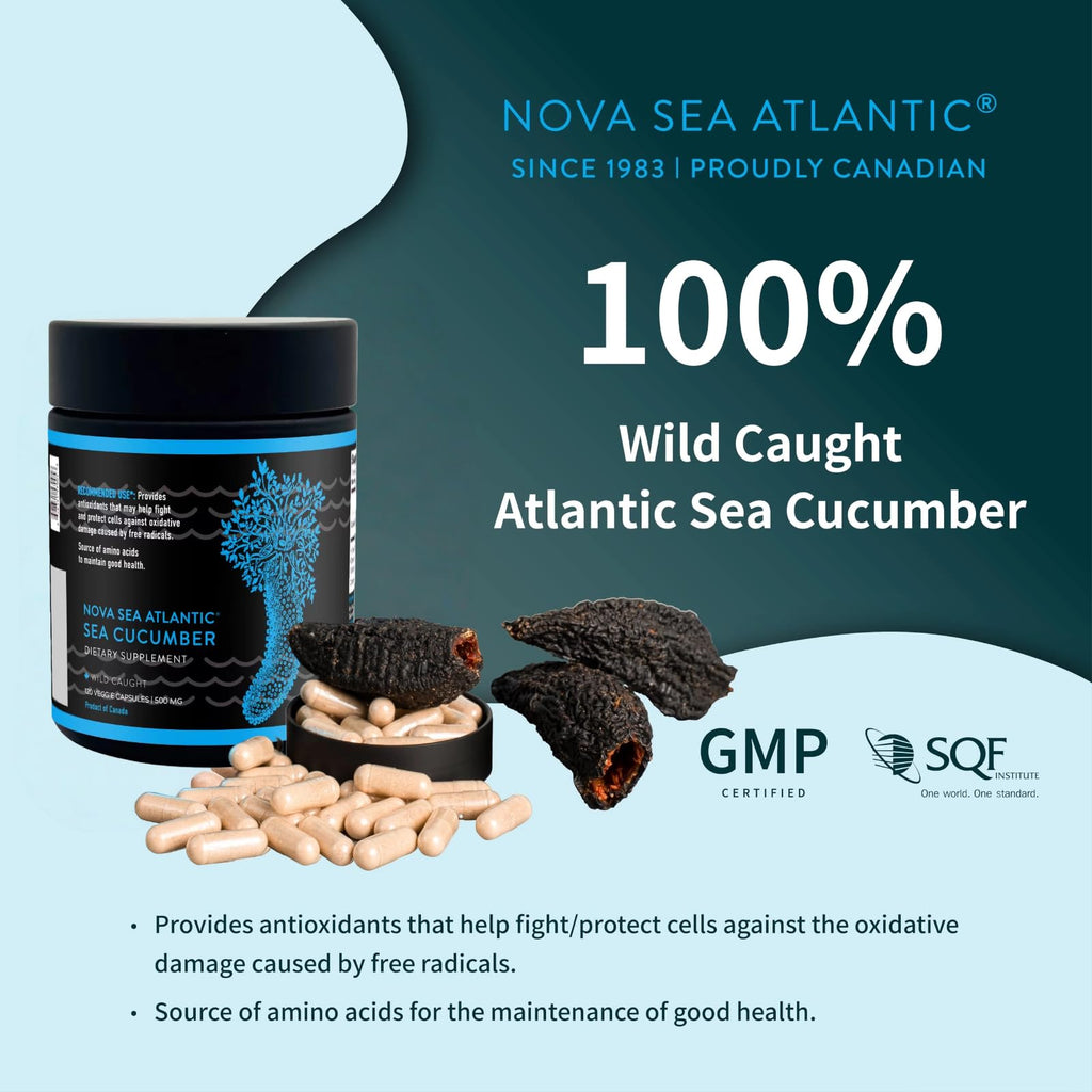 Nova Sea Atlantic Sea Cucumber Supplement, Wild Caught Sea Cucumber Capsules with Fucosylated Vitamins Mineral — Natural Antioxidant Supplement for Elderly Adult Child 120 Count(3 Pack)