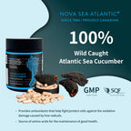 Nova Sea Atlantic Sea Cucumber Supplement, Wild Caught Sea Cucumber Capsules with Fucosylated Vitamins Mineral — Natural Antioxidant Supplement for Elderly Adult Child 120 Count(3 Pack)