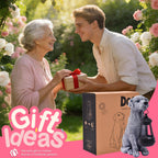 Goodeco Dog Statue with Solar Lantern - Cute Garden Dog Figurines