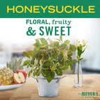 Mrs. MEYER'S CLEAN DAY Liquid Dish Soap, Honeysuckle, 16 fl. oz (Pack of 2)