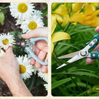 Modern Sprout Pruning Shears- Garden Snips-Herb Scissors- Chartreuse 1-Pack