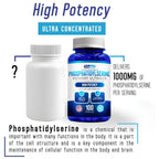 We Like Vitamins Phosphatidylserine Supplement with Gingko Biloba, Gotu Kola, DMAE - Improves Focus, Memory, Cognitive Function - Soy-Free 1000mg Memory Ultimate Complex - 100 Easy-to-Swallow Capsules