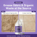 Creative Scents Multipurpose Enzyme Cleaner & Odor Remover | Super Concentrated for Floor, Carpet, Drain | Pet Urine Odor Eliminator | Cleaner for Cat Urine & Dog Poop | 1 Gallon - Calming Lavender