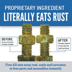 Free All Rust Eater Deep Penetrating Oil, 11 oz Aerosol – Loosens Rusted Bolts, Nuts, Pipe Connections & Locks – Industrial-Grade Rust Remover, Silicone-Free, Safe on Paint & Plastic Surfaces, 2-Pack