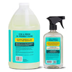 Aunt Fannie's All Purpose Household Cleaner Bundle, Multi-surface Spray and Refill, Powered by Vinegar for Kitchen, Bath, Windows and Countertops, Eucalpytus Scent