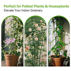 DOLEMODUO 6-Pack Metal Trellis for Potted Plants, 43" Heavy Duty Garden Trellis for Climbing Plants, Rustproof Powder Coated Indoor/Outdoor Trellis for Climbing Vines, Flowers, Houseplants