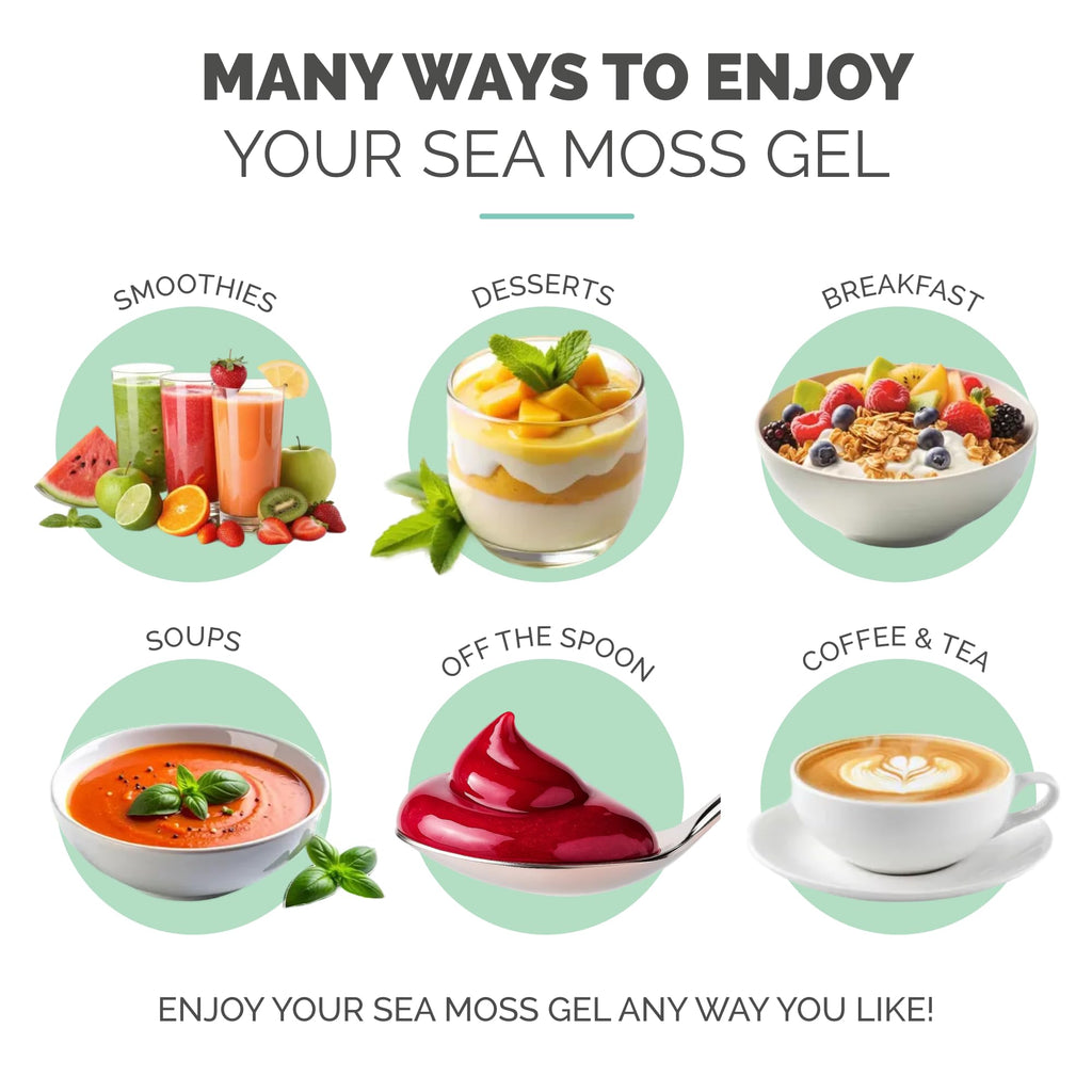 EverSmith Organics - Wildcrafted Irish Sea Moss Gel | Made in USA | Rich in Vitamins & Minerals | Sea Moss Gel Raw | Nutritional Supplement | Elderberry (16 oz)