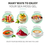 EverSmith Organics - Wildcrafted Irish Sea Moss Gel | Made in USA | Rich in Vitamins & Minerals | Sea Moss Gel Raw | Nutritional Supplement | Elderberry (16 oz)