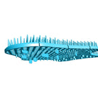 Splash Hog Urinal Screen | Clean Scent | Reduces Splash-Back | Long Lasting Fragrance | Deodorizes for up to 60 Days | 6-Pack |