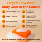 BIOXI Persimmon & Tea Tree Oil Deodorizer Soap Bar Odor Control & Gentle Exfoliation Body Wash for Mature or Aging Skin Korean Cold-Pressed Formula with Chamomile, Aloe Vera & Coconut Oil - 2 Pack