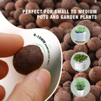 Rurtsva Natural Clay Pebbles 5LBS– 8mm-15mm Expanded Leca Balls for Hydroponics Plants Drainage Grow Media Reusable Soil Amendment for Orchids, Succulents, Aquaponics