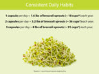 KOYAH - Organic Broccoli Sprout Capsules – Freeze-Dried Whole Broccoli Sprouts – 3rd Party Tested for Active Myrosinase & Glucoraphanin (Sulforaphane Glucosinolate) - 60 Capsules