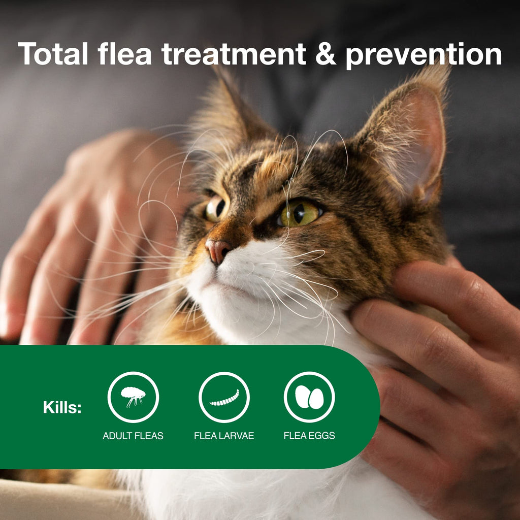 Advantage II Large Cat Topical Flea Treatment & Prevention, 4ct